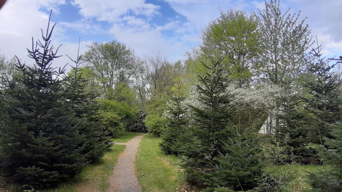 Levaltipis Hotell Saint-Gâtien-des-Bois Exteriör bild
