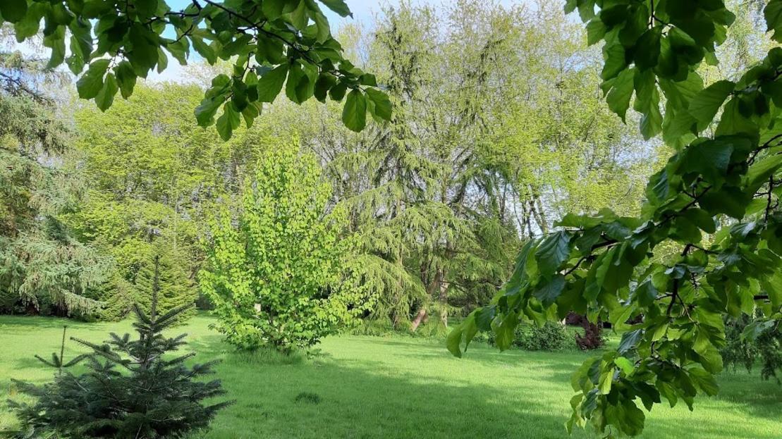 Levaltipis Hotell Saint-Gâtien-des-Bois Exteriör bild