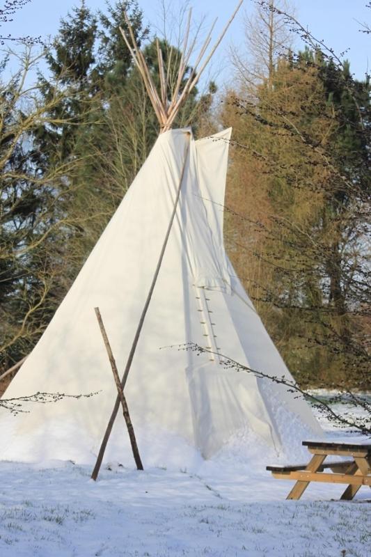 Levaltipis Hotell Saint-Gâtien-des-Bois Rum bild