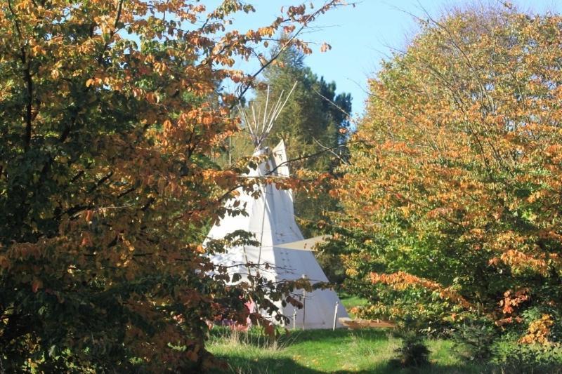Levaltipis Hotell Saint-Gâtien-des-Bois Rum bild