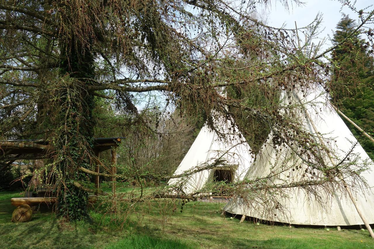 Levaltipis Hotell Saint-Gâtien-des-Bois Exteriör bild
